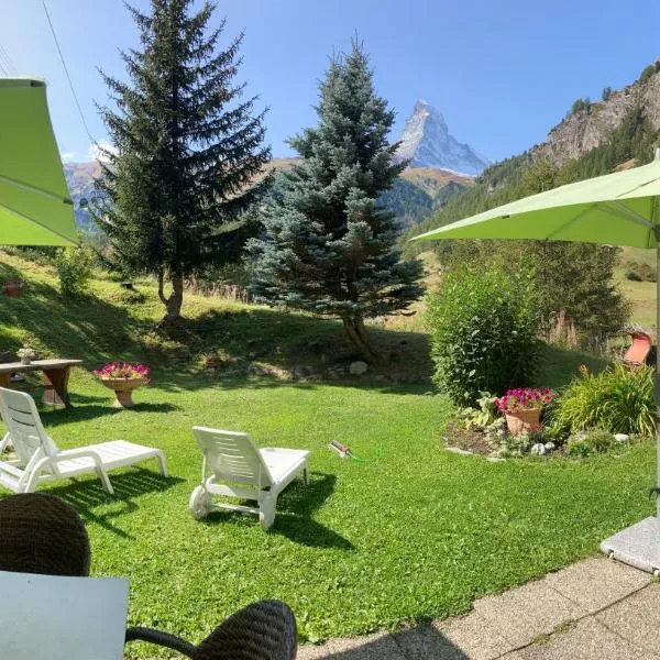 Hotel Plateau Rosa, готель у Церматті