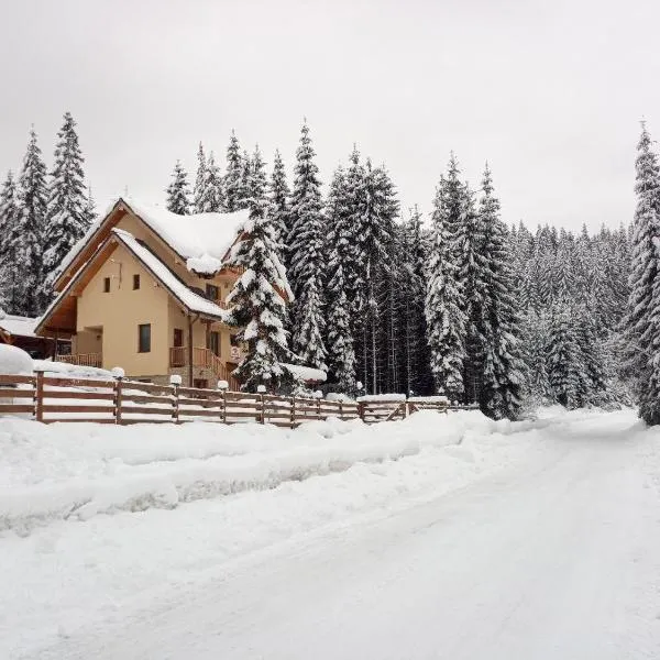 Vidra Parc, hotel en Voineasa