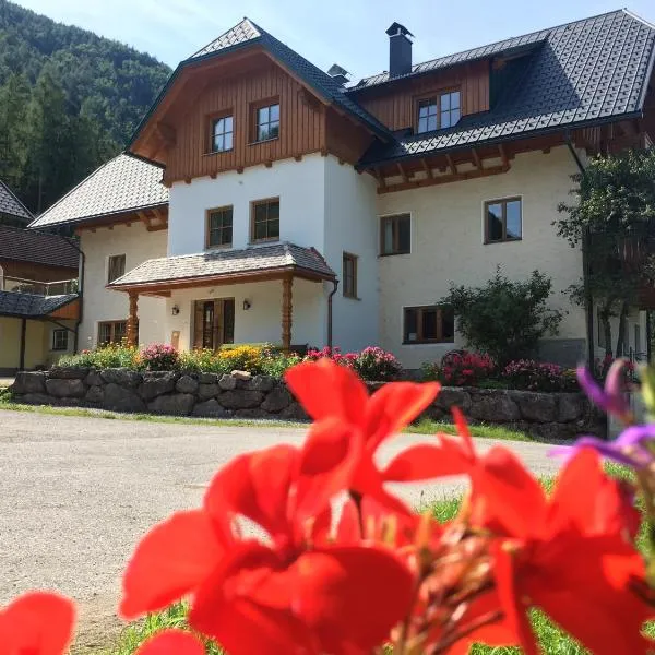 Ferienhof Rinnergut, hotel en Hinterstoder