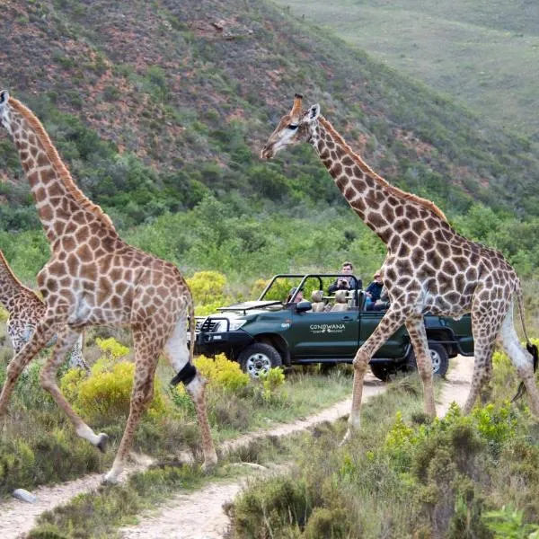 Gondwana Game Reserve, hotel v destinaci Kleinberg