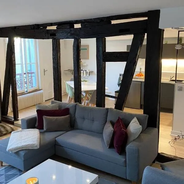 Charmant T3 cœur de ville avec parking, hôtel à Limoges
