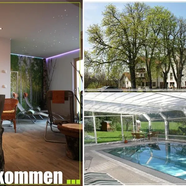 Gasthof-Pension Zum Haugstein - Familie Eder, hotel v destinaci Engelhartszell