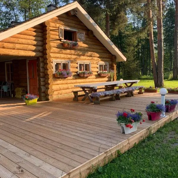 Trepimäe Holiday House, hotel v destinaci Vehendi