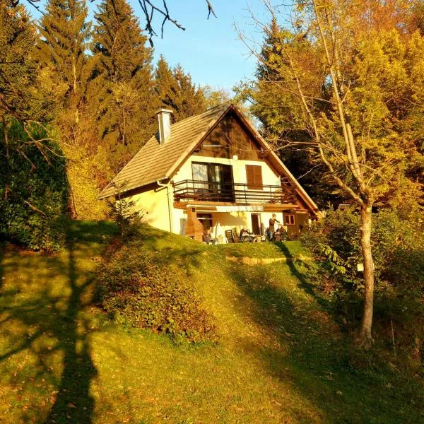Alpinejka House, hotel v destinaci Tržič