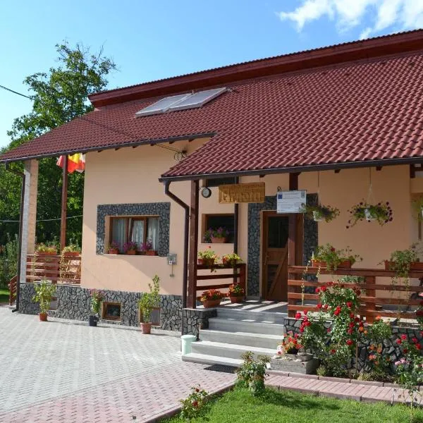 Arnota, hotel v destinaci Costeşti