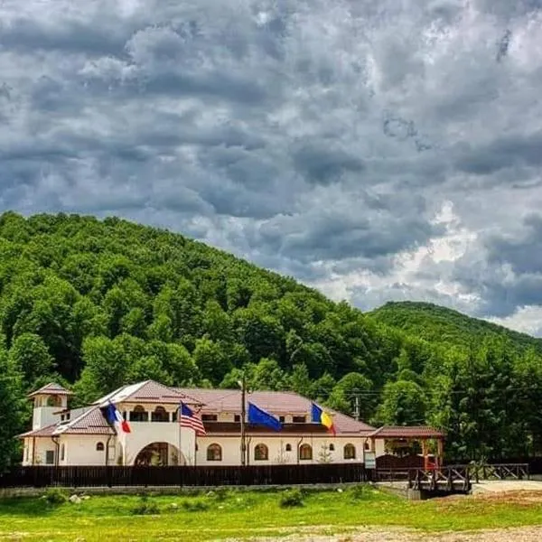 Conacul Sfanta Elena, готель у місті Berevoeşti