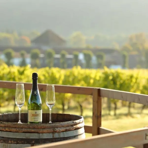 Denbies Vineyard Hotel、ドーキングのホテル