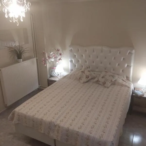 Villa Elli, hôtel à Olympiakí Aktí