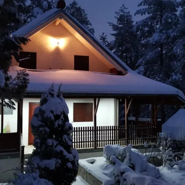 Vila President Divcibare, hotel v destinaci Divčibare