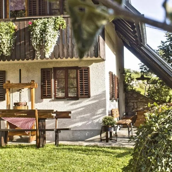 Vineyard cottage Podržaj, hotel v destinaci Otočec
