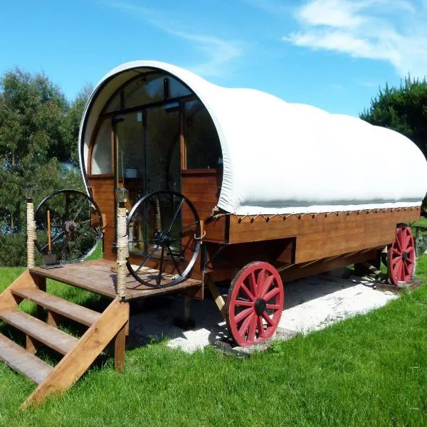 Wacky Stays - unique farm-stay glamping rentals, FREE animal feeding tours, hotel in Mahunga