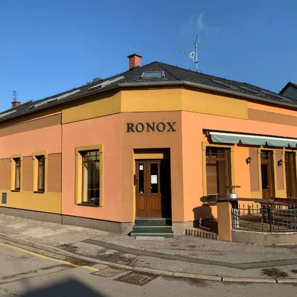 Penzion Ronox, hotel a Česká Skalice