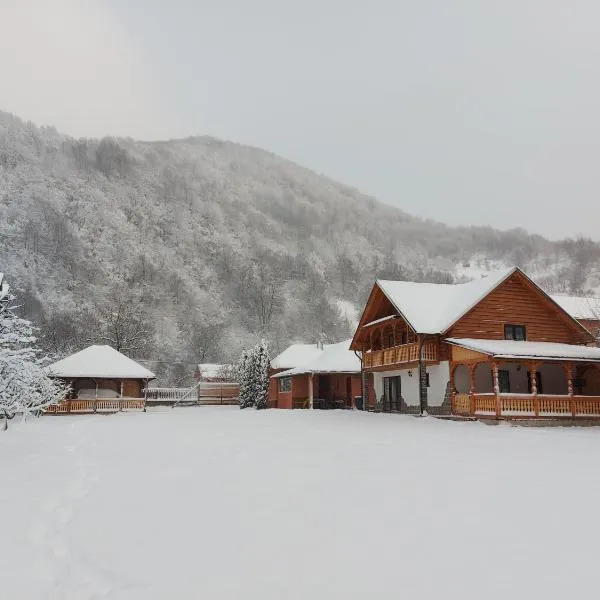 Casa Nova, hotel in Vişeu de Sus