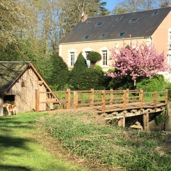 Domaine du moulin de la plaine - L'île Ô Reflets, hotel v destinaci Trôo