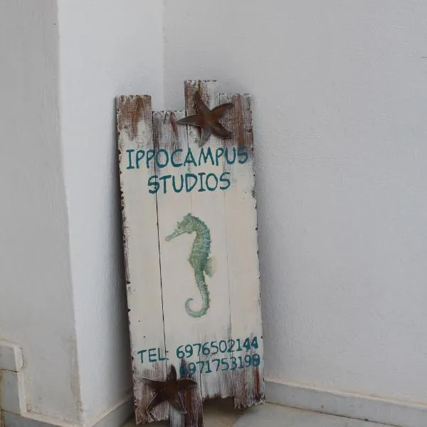 Hippocampus Studios 2' walk from the sea，Moutsouna Naxos的飯店