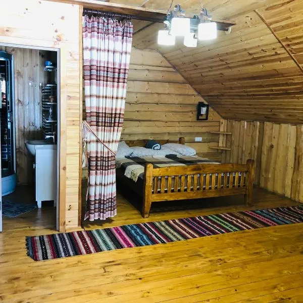 У Віти номер2, hotel in Synevyrsʼka Polyana