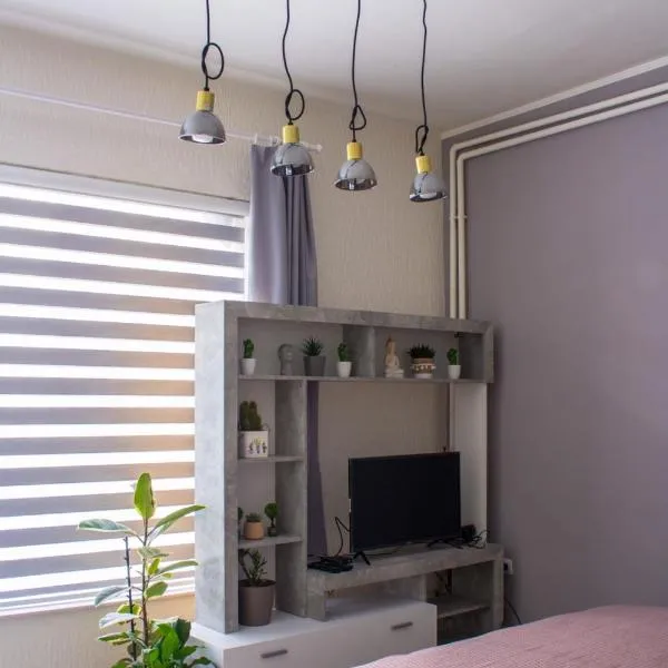 BB Downtown Apartment, hotel din Bajina Bašta