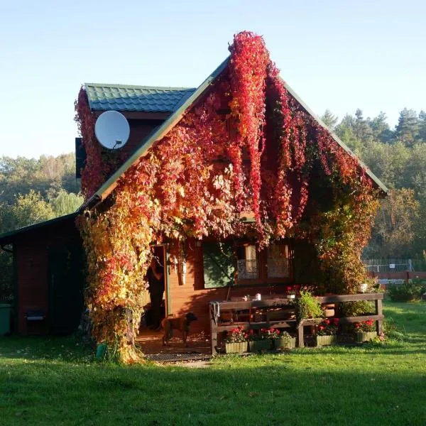 Domki Karaibskie, hotel v destinaci Sasino