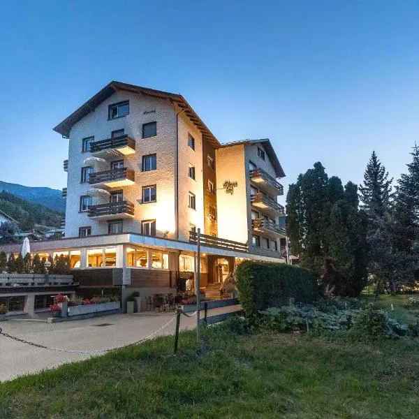 Hotel Alpenhof, hotel en Ackersand