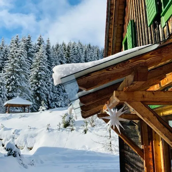 Zirbitz Hütte mit Sauna und Kamin, hotel in Sankt Lambrecht