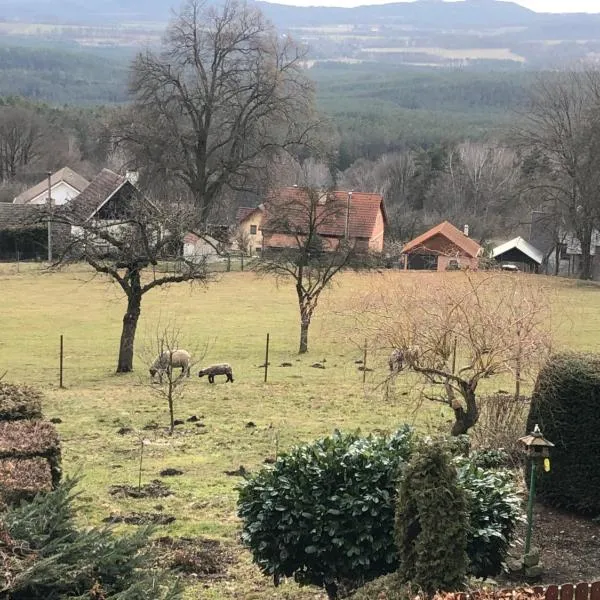 Pension S láskou Karel Bezděz, hotel en Hradčany