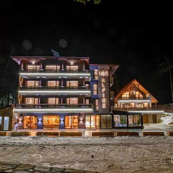 103 Alpine Hotel, хотел в Паничище