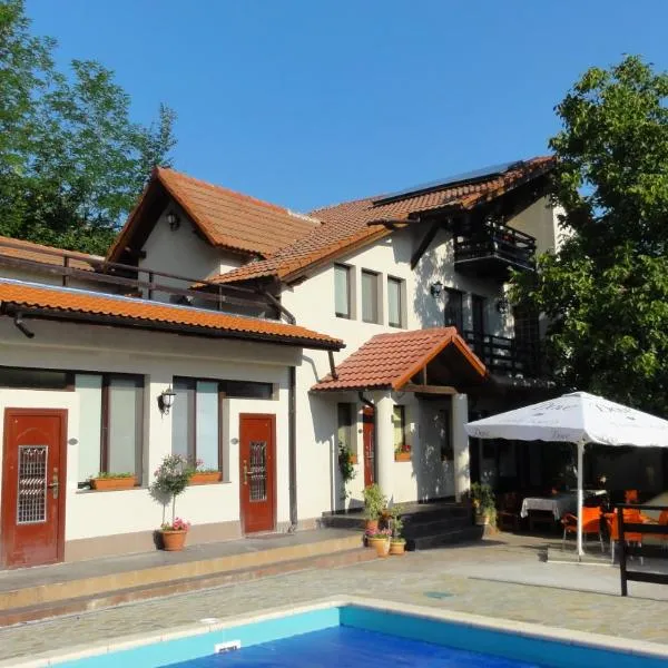 Vila Europa, hotel in Tisău