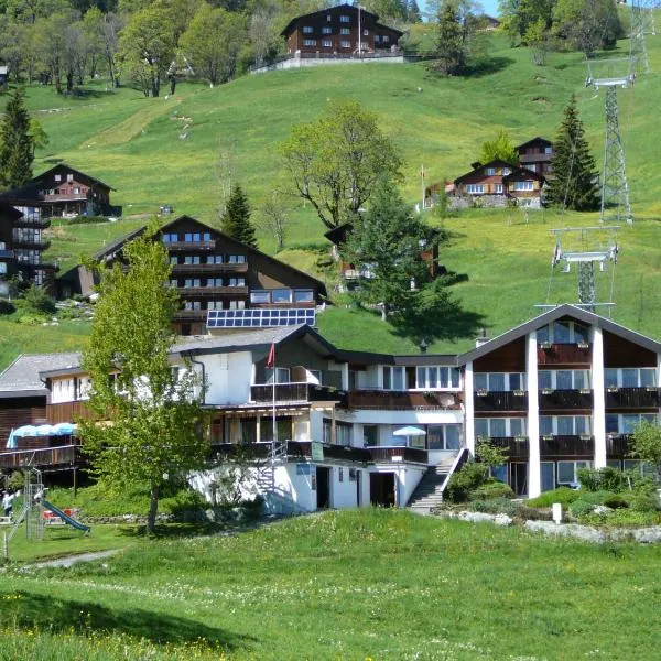 Hotel Restaurant Cristal, hotel in Braunwald