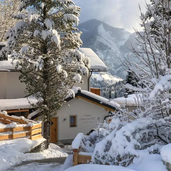 Chalet Schmitten 102 by Chalet Alp Lux - Opposite ski lift、ツェル・アム・ゼーのホテル