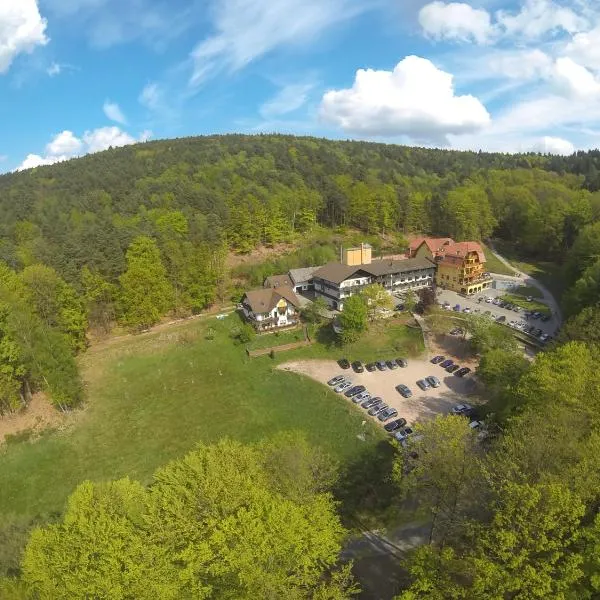 Wald-Hotel Heppe, hotel v destinaci Dammbach