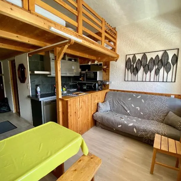 SUPER LIORAN - APPARTEMENT ENTIÈREMENT ÉQUIPÉ, hotel in Laveissière