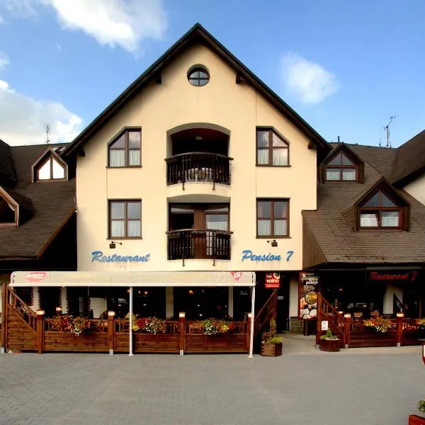 Wellness Pension 7, hotel v destinaci Harrachov