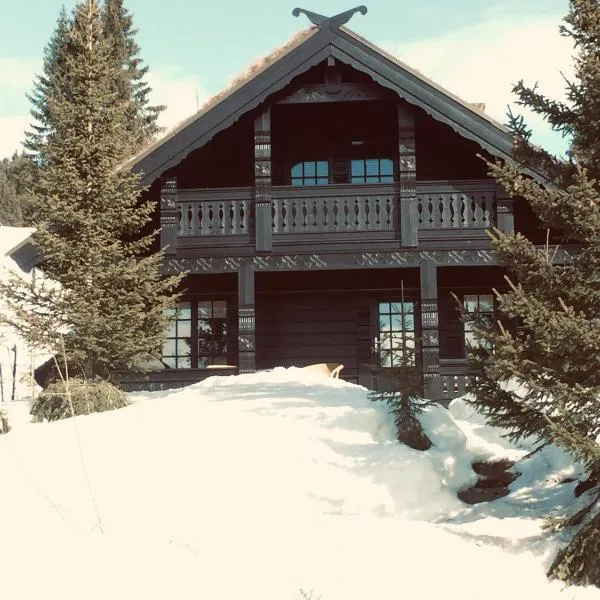 Ski and Bike-In and Out, hotel di Hafjell