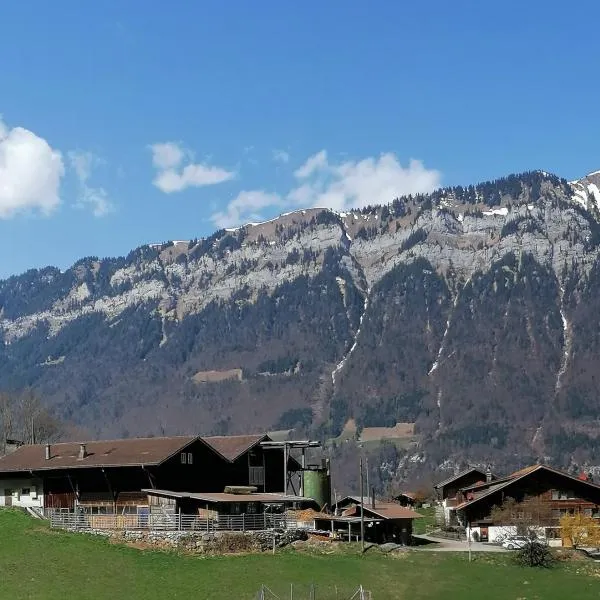 Brunners harzerhof, hotel sa Iseltwald