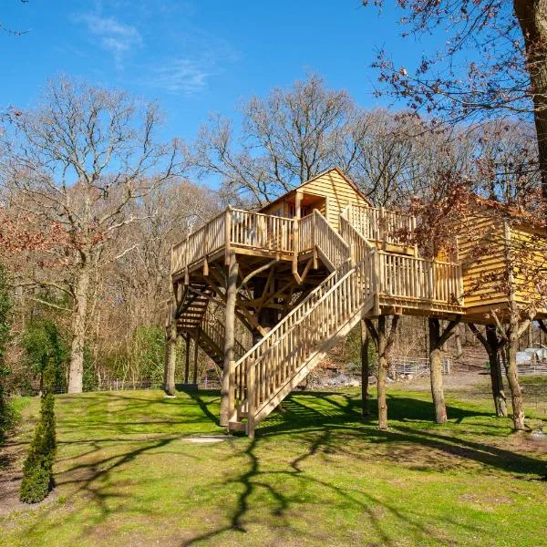 Oakside Tree Tops, hotel v destinaci Canterbury