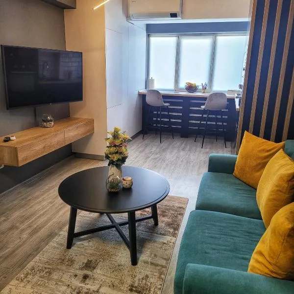 Apartament Deluxe cu parcare gratuită, lângă Arena Mall in Centru Bacău - ideal pentru cupluri sau business, hotel in Bacău