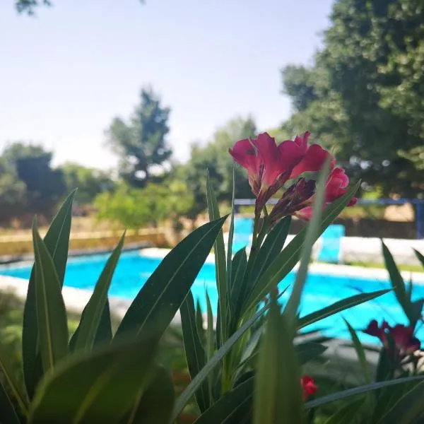 Casa Rural El Llano Quintanilla, hotel v destinaci Yecla