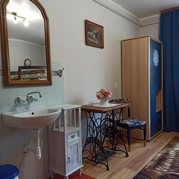 Bora Zdrój - pokój czteroosobowy 1, hotel v destinaci Narewka