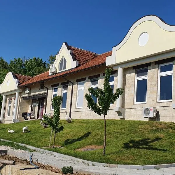 Apartmani Bojeresku Negotin, hotel in Negotin