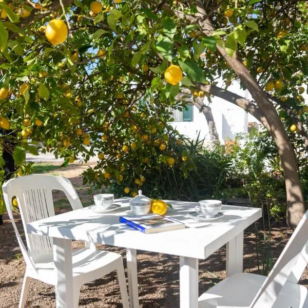 Appartamenti Melograno e Fico, hotel in Loculi