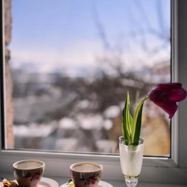 Apart Hotel Sayat-Nova, hotel v destinaci Vanadzor