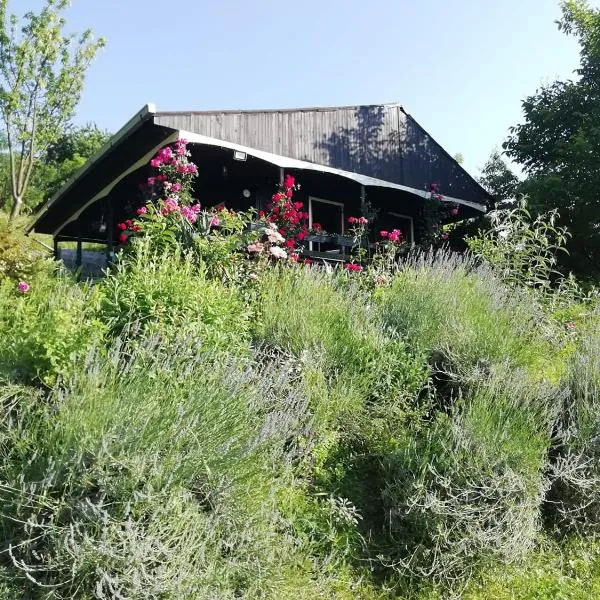 Baranja Black Hill's, hotell i Draž