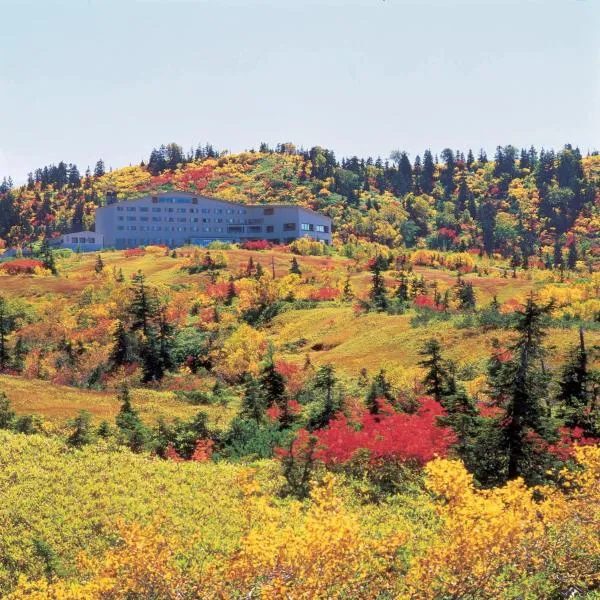 Midagahara Hotel, hotel in Tateyama