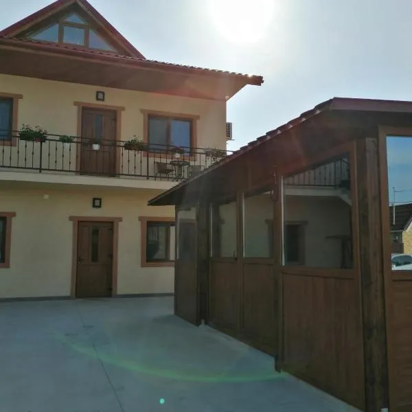 Pensiunea Corina Tulcea, hotel v destinaci Tulcea