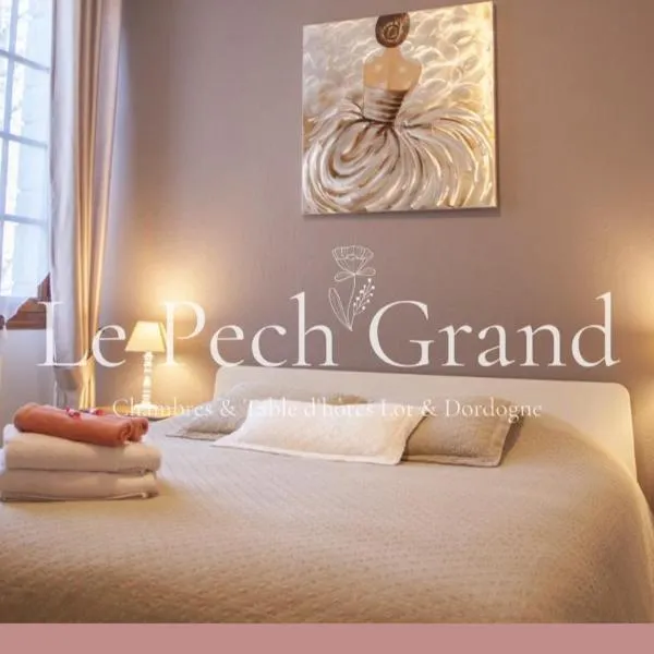Chambres & Tables d'hôtes Le Pech Grand, hotel en Gluges