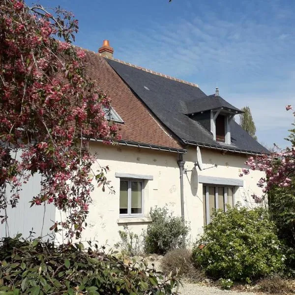 Gîte La Fortaiserie, hotel in Gizeux