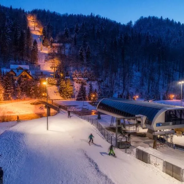 Willa Pod Kolejką, hotel in Szczawnica