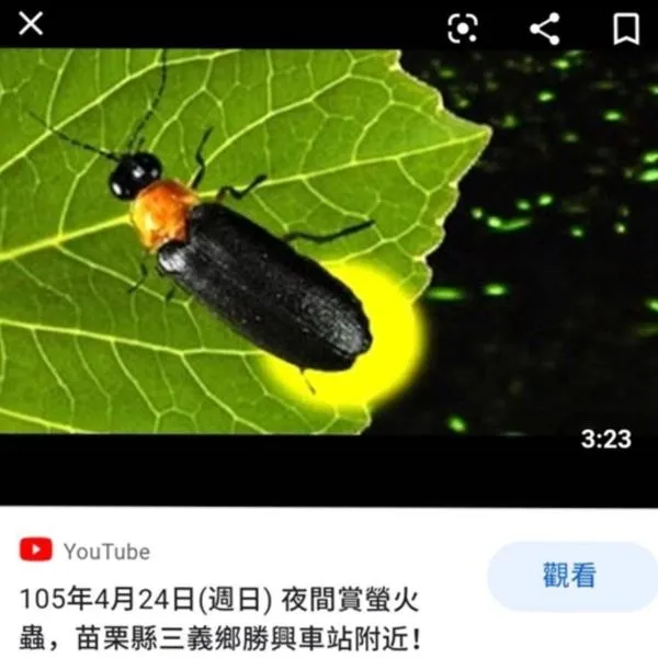 Miaoli Sanyi Shantongyazhu Homestay, hotel em Sanyi