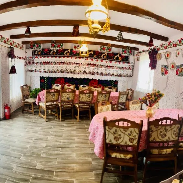 Floare de Maramures 1, hotel v destinaci Vadu Izei
