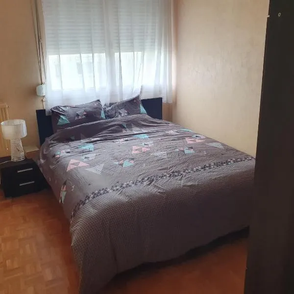 Dans grand appart de 113m2 proche Paris, hotel v destinaci Creil